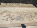 PICTURES/Pompeii - Tiled Floors and Amazing Frescos/t_IMG_9986.JPG